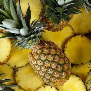 Florida Special Pineapple Plant – Tropical Fruit – 4 Inch Pot – Indoor/Outdoor