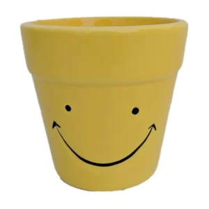 Happy Face Planter with Colorful Croton Plant – Indoor Houseplant in 3.75