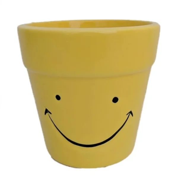 Happy Face Planter with Colorful Croton Plant – Indoor Houseplant in 3.75" Ceramic Pot