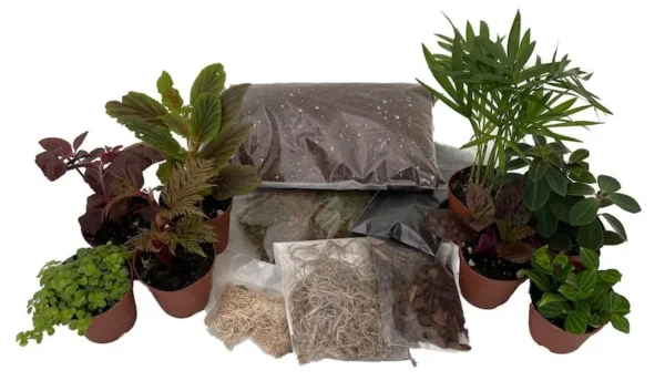 Terrarium Kit - 8 Plants, 2" Pots, DIY Fairy Garden Kit