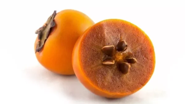 20 Persimmon Tree Seeds Diospyros Virginiana Sugar Plum Fruit Plant Native