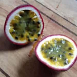 5 Possum Purple Passion Fruit Starter Plants Self-Fertile Passiflora Edulis